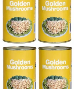 [ 4x 425g / 200g ATG ] Golden Mushrooms / Enoki / Enoidake / goldener Nadelpilz