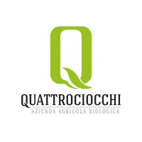 Quattrociocchi Extra Classico Olio Extra Vergine di Oliva Kanister 3 Liter