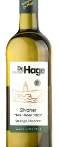 Wein Saale Unstrut Weißwein Silvaner 2023 feinherb Weingut Dr. Hage Deutscher Qualitätswein Freyburger Edelacker