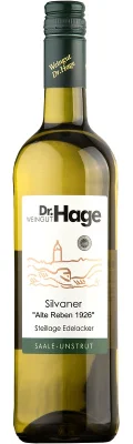 Wein Saale Unstrut Weißwein Silvaner 2023 feinherb Weingut Dr. Hage Deutscher Qualitätswein Freyburger Edelacker – Bild 2