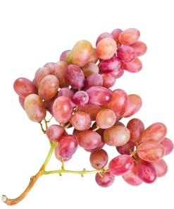 Trauben rosé, kernlos