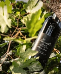 23.10.25 | Trüffel, Tradition & Terroir: Ein Genuss-Abend mit Prunotto