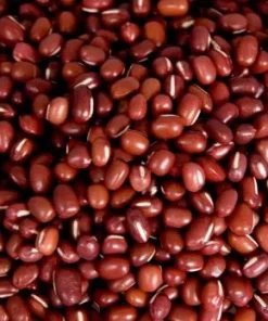 Bohnen, Azuki-Bohnen, BIO, 25 kg