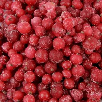 Rote Johannisbeeren, TK, 2,5 kg – Bild 2