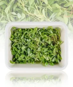 vollgepackt Microgreens „Gelbe Bete“, junge Blätter / Keimlinge, 50 g