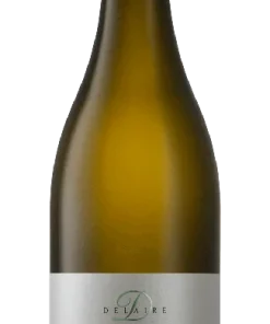 Delaire Graff The View Chenin Blanc 2021 – White wine