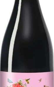 2021er En la Parra tinto Bio – Rotwein