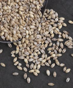 Rolled barley coarse Albulatal bio, 500g