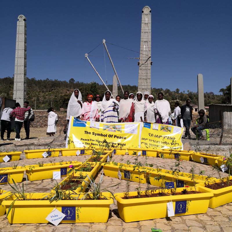 Honig aus dem Projekt „Selam“ in Äthiopien – Bild 6