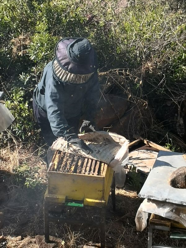 Honig aus dem Projekt „Selam“ in Äthiopien – Bild 9