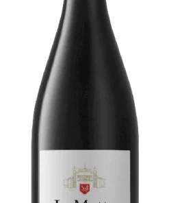 La Motte Franschhoek Syrah 2021 – Red wine