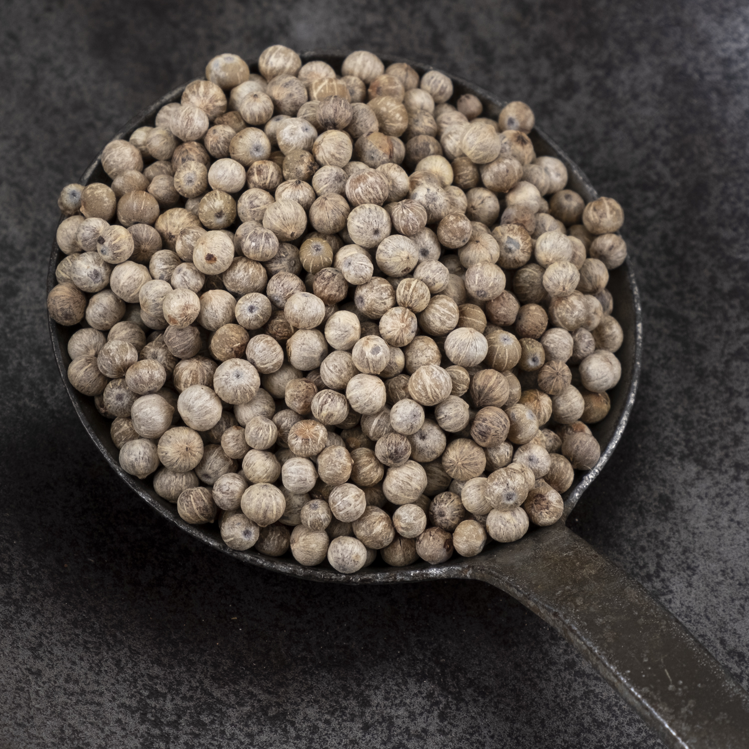 Kampot pepper white organic 70g – Bild 2