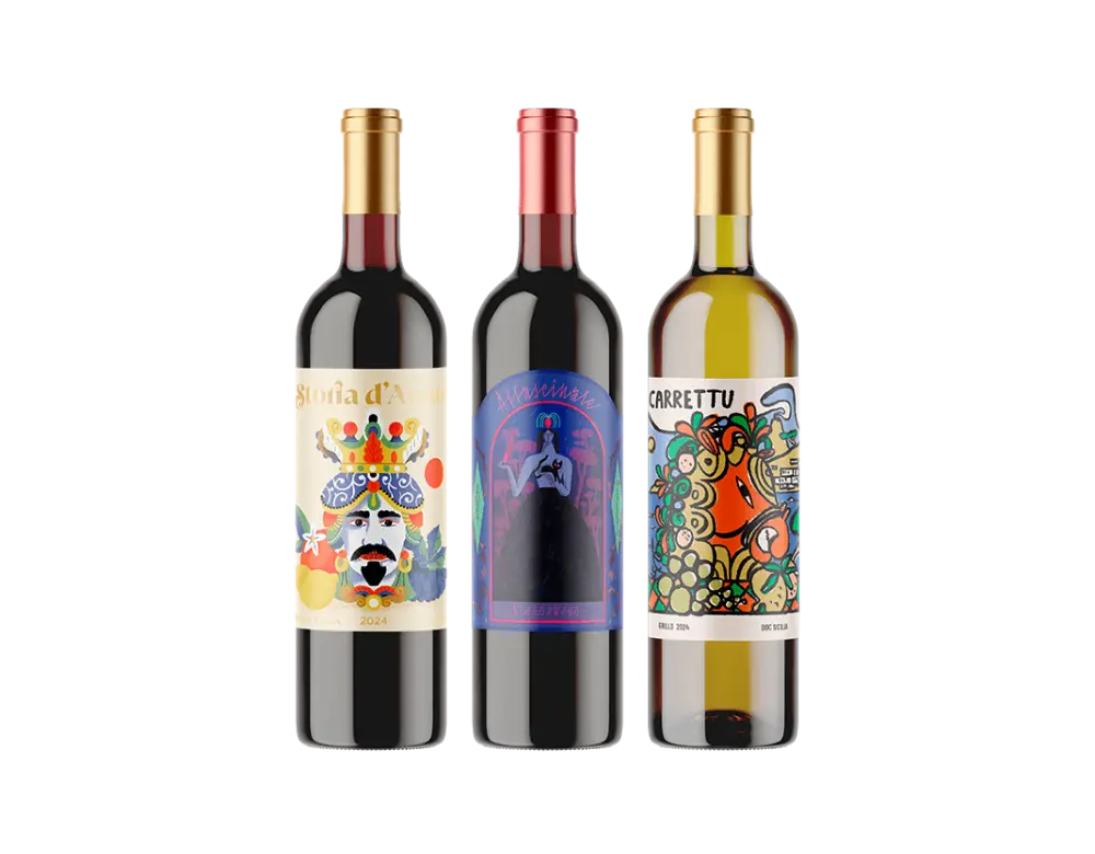 Premium Italian South Wine Collection – Bild 2