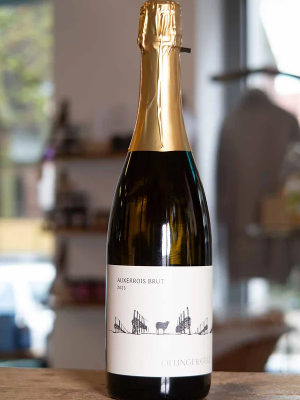 BIO Auxerrois brut Sekt trocken 2023 – Bild 2