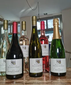 Ticket | Regionales BIO-Wein Tasting 21.02.25