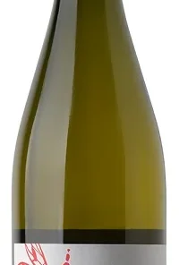 Chardonnay »Mainqué« 2024