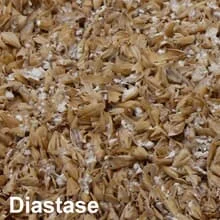 Diastasemalz Gerste geschrotet